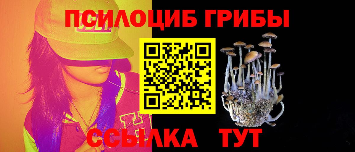 Псилоцибиновые грибы мицелий  Вход с VPN  Оренбург  Псилоцибиновые грибы GOLDEN TEACHER 